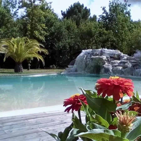 Domaine D'erras -colibri -